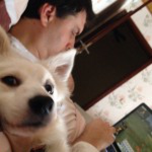 Tobby, le Spitz Nain