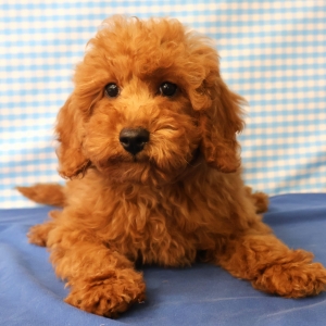 Offre Exceptionnelle